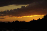 Around Higgins, 7-09   19