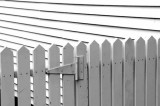 Lucy's Fence
