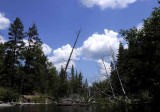 Kayak on Au Sable River, 09  29