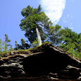 Pictured Rocks, 2009  47