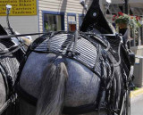 Mackinac Is 2  17