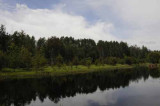 Robinson Lake Road Pond 26