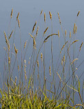 Around Hggins, September 04