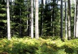 Around Hggins, September 17