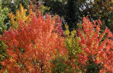 Around Hggins, September 48