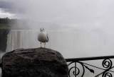 Niagara Falls, October 32