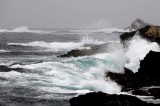 Point Lobos