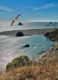 Soaring the Cliffs