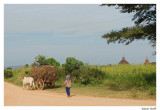 Charette Bagan