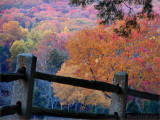 Autumn Fence