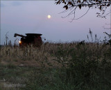 Night Harvest
