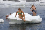 Miss Ice Floe. Deception Island