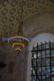IMGP6853  sherloncrogers.com.jpg