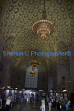 IMGP6884  sherloncrogers.com.jpg