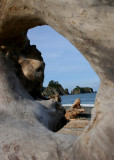 Rialto Beach through log