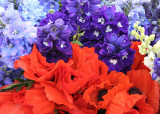 Poppies and Delphiniums