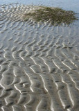 Water Sculpted Sand 1