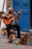 Street guitarist Essaouira.jpg