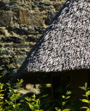 Thatched roof 1.jpg