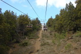 DSC01193.jpg