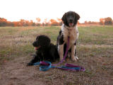 Skip and China