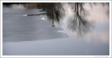 The thaw (5)