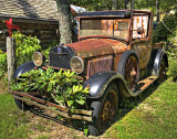 Model A