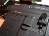 DSC02528.JPG