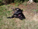2010-08-06 12.08.55.jpg