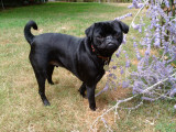 2010-08-22 12.28.44.jpg