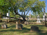 A0001150.jpg