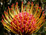 42- Pincushions