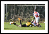 DSC_6245-p-p-p.jpg