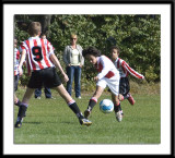 DSC_6250-p-p-p.jpg