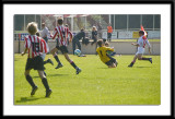 DSC_6267-p-p-p.jpg