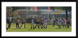 DSC_6269-p-p-p.jpg