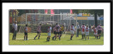 DSC_6270-p-p-p.jpg