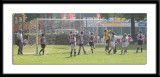 DSC_6271-p-p-p.jpg