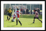 DSC_6280-p-p-p.jpg