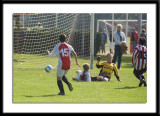 DSC_6281-p-p-p.jpg
