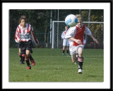 DSC_6302-p-p-p.jpg
