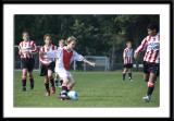 DSC_6321-p-p-p.jpg