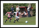 DSC_6325-p-p-p.jpg