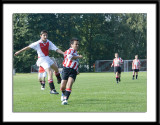 DSC_6336-p-p-p.jpg