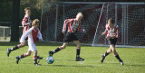 DSC_6241-p-p.jpg
