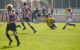 DSC_6267-p-p.jpg