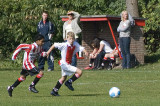 DSC_6325-p-p.jpg