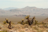 desert view.jpg