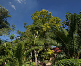 Outjo Tropical garden