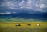 Ngorongoro Rhinos